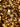 Midas Top Gold