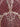 Papillon Capelet Cabernet